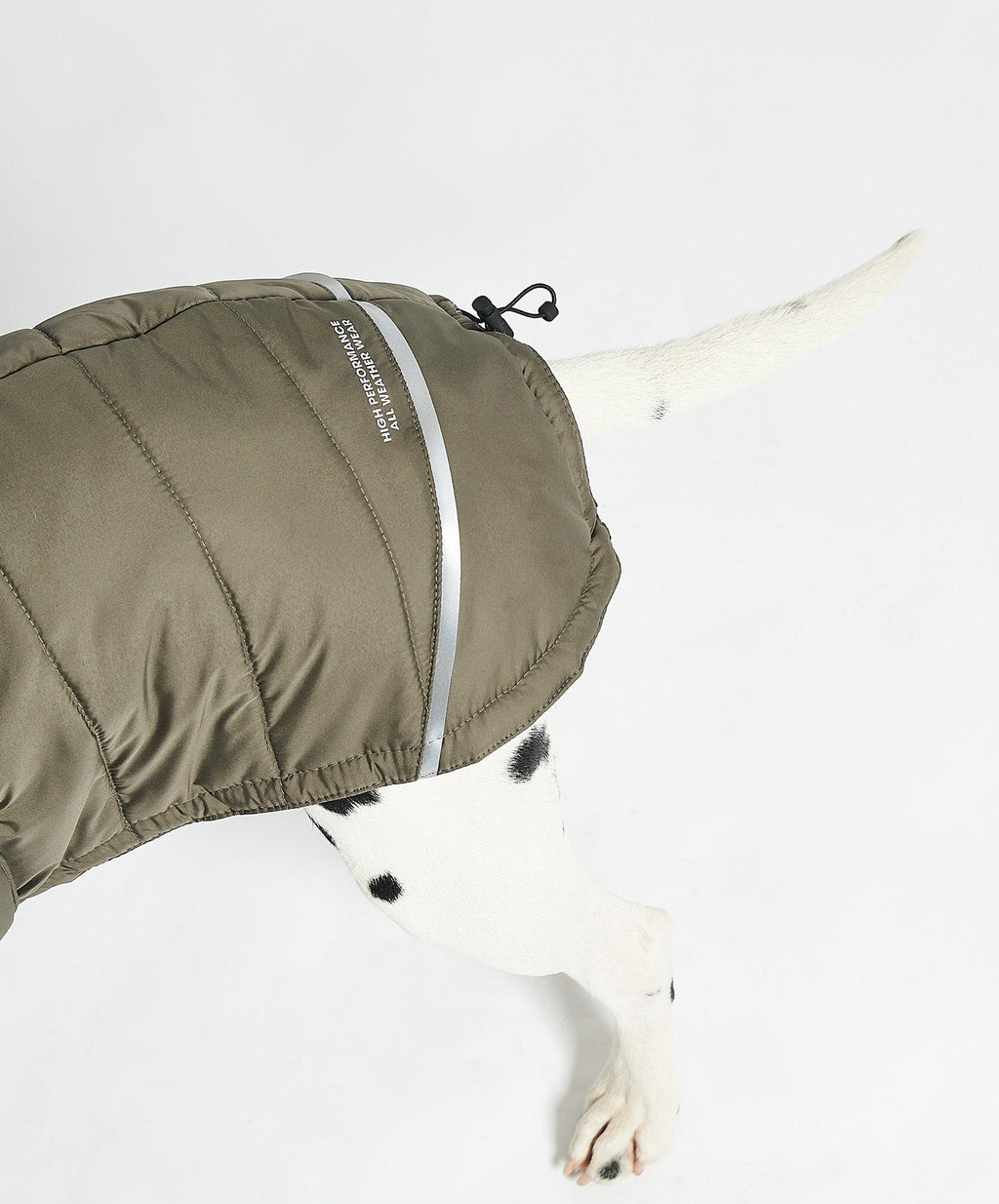 MiaCara Cosima winter dog coat