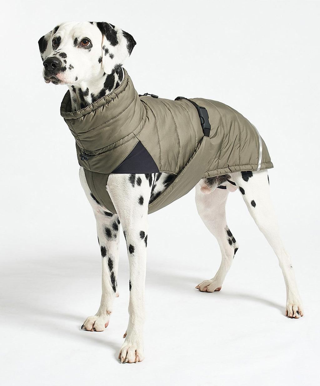 MiaCara Cosima winter dog coat