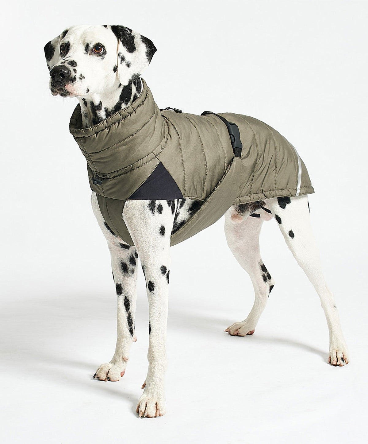 MiaCara Cosima winter dog coat