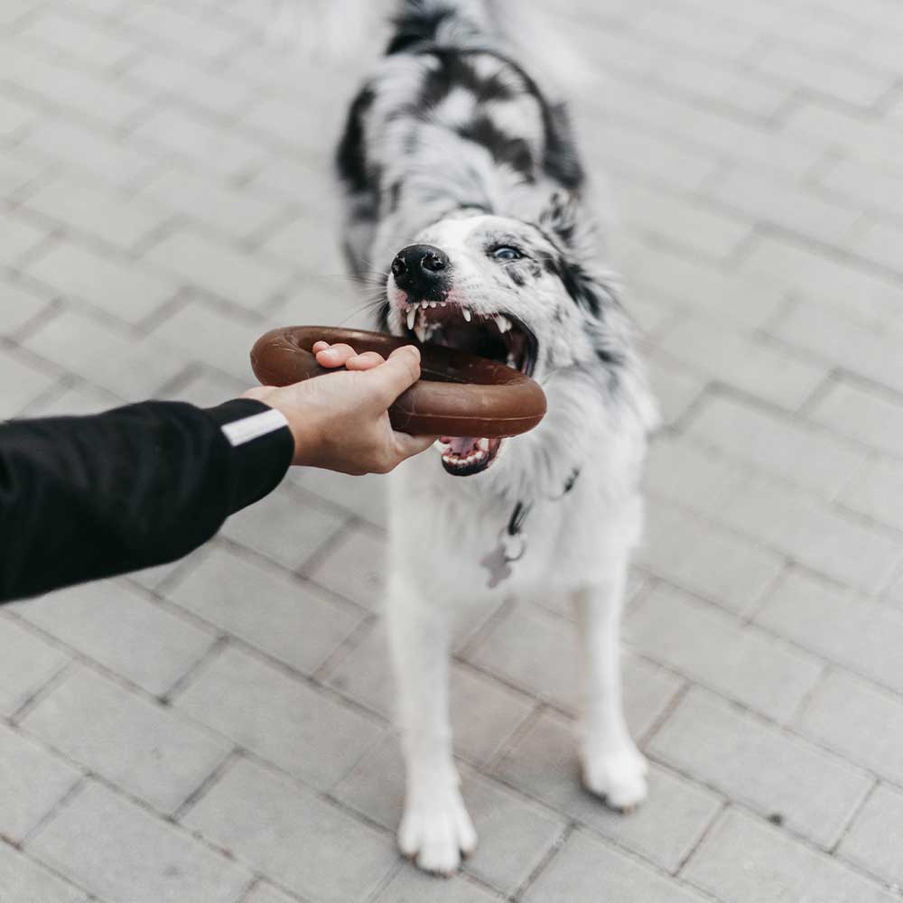 Rub Bite