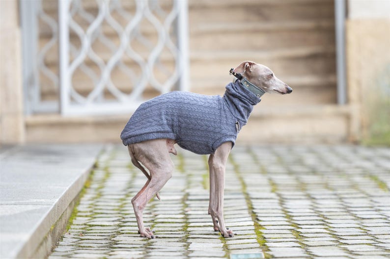GLdesign Pullover Jacquard — photo 3