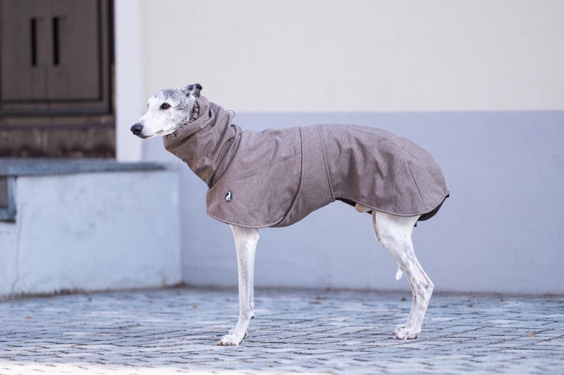 GLdesign Raincoat Casual Shell — photo 4