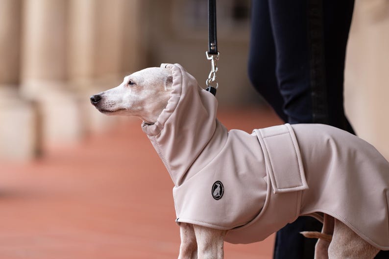 GLdesign Raincoat Casual Shell — photo 5
