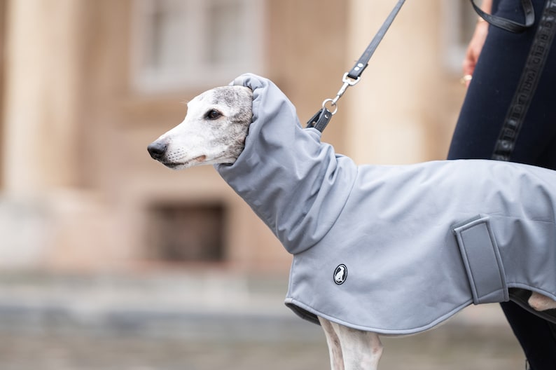 GLdesign Raincoat Shell — photo 1