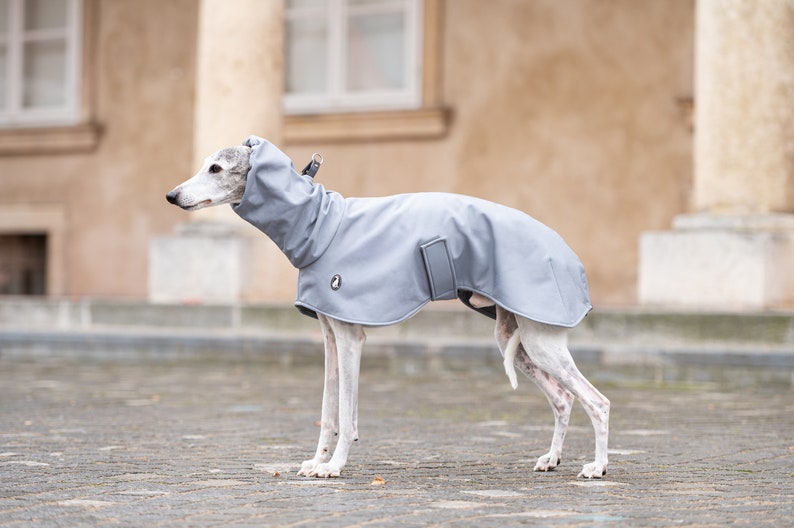 GLdesign Raincoat Shell — photo 2