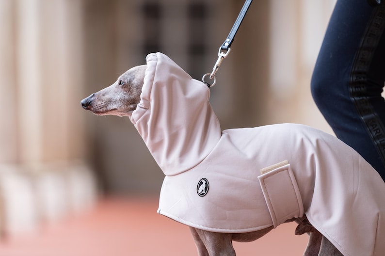 GLdesign Raincoat Shell — photo 3