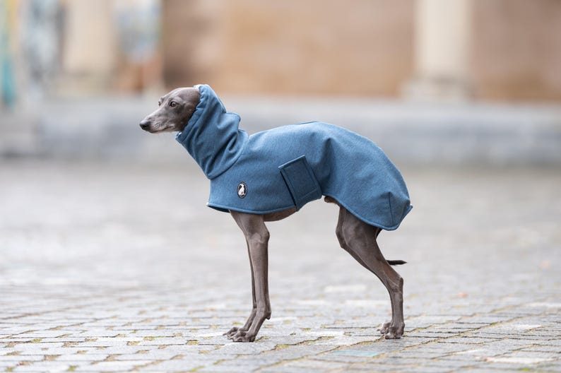 GLdesign Raincoat Shell — photo 5