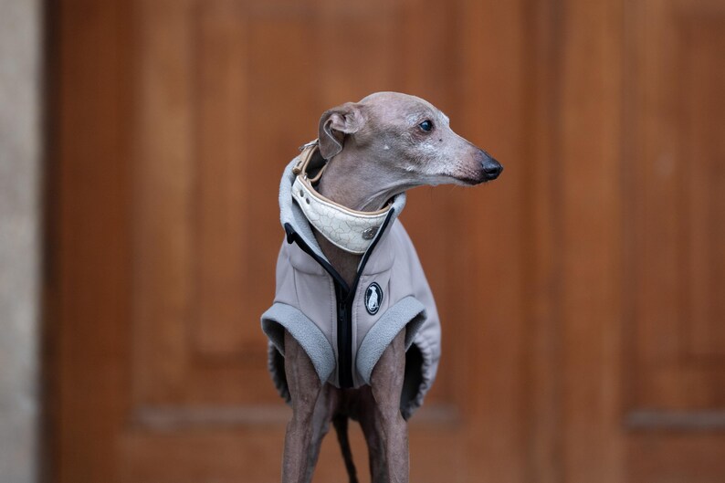 GLdesign Vest Shell — photo 2