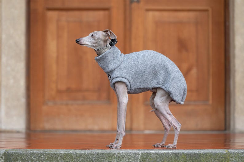 GLdesign Vest Woolly — photo 3