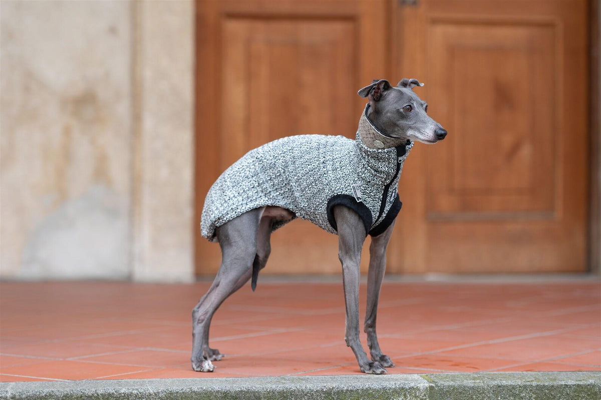 Noma Tweed