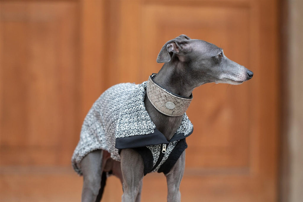 Noma Tweed