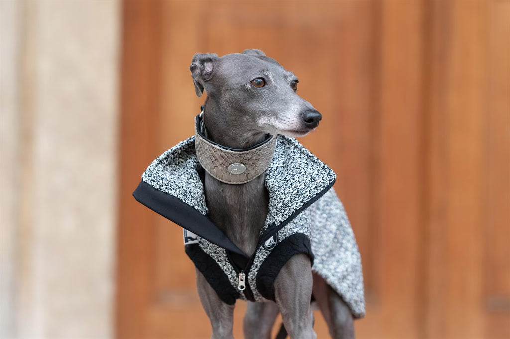 Noma Tweed