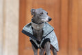 Noma Tweed