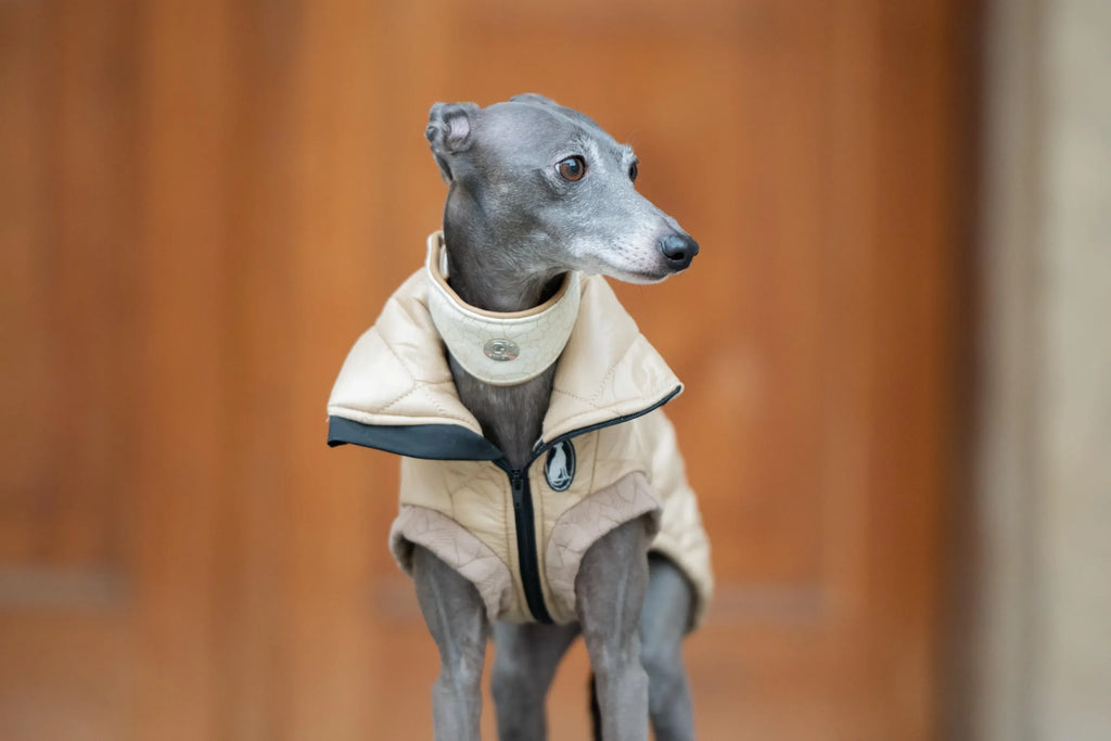 Vest Guilted