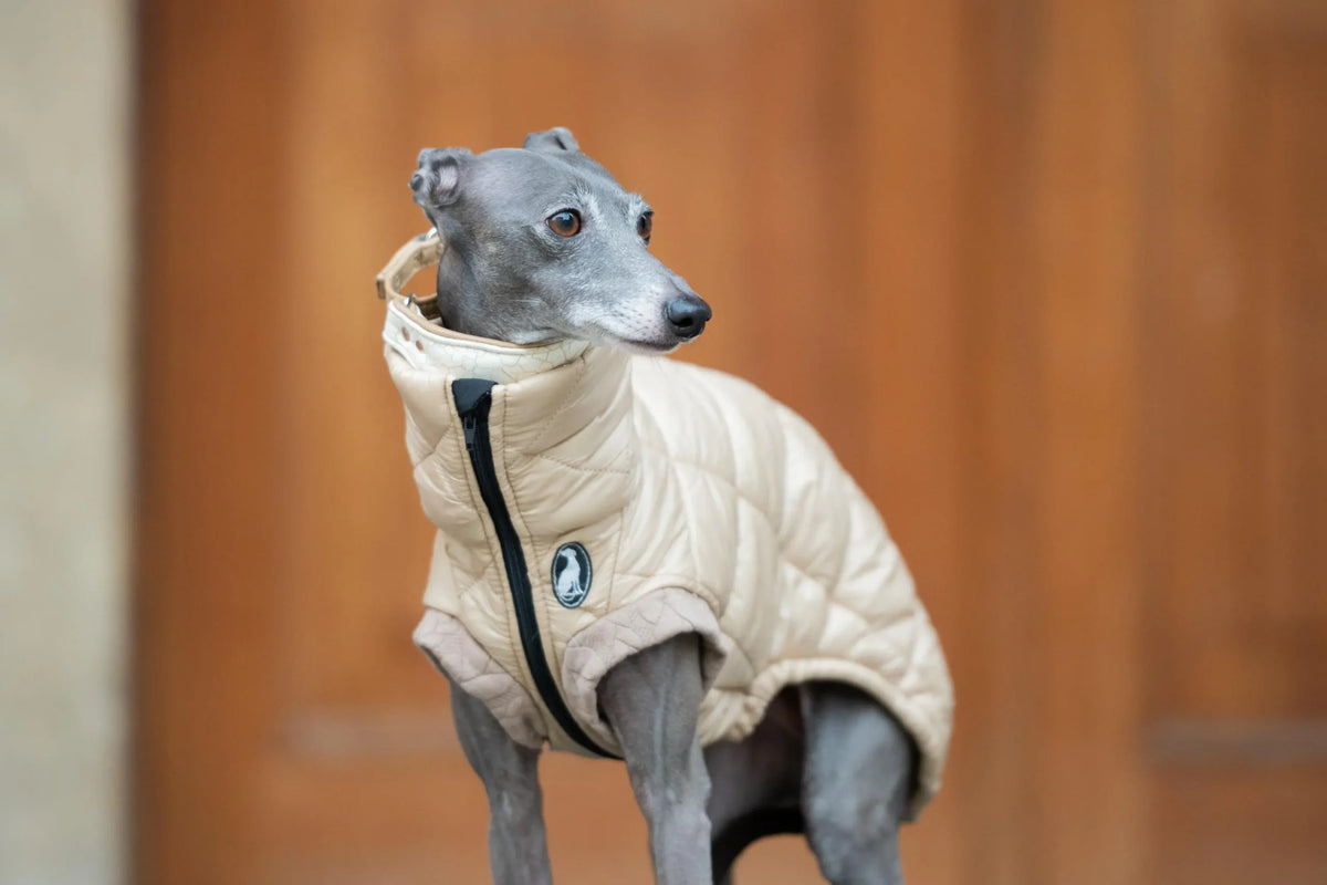 Vest Guilted
