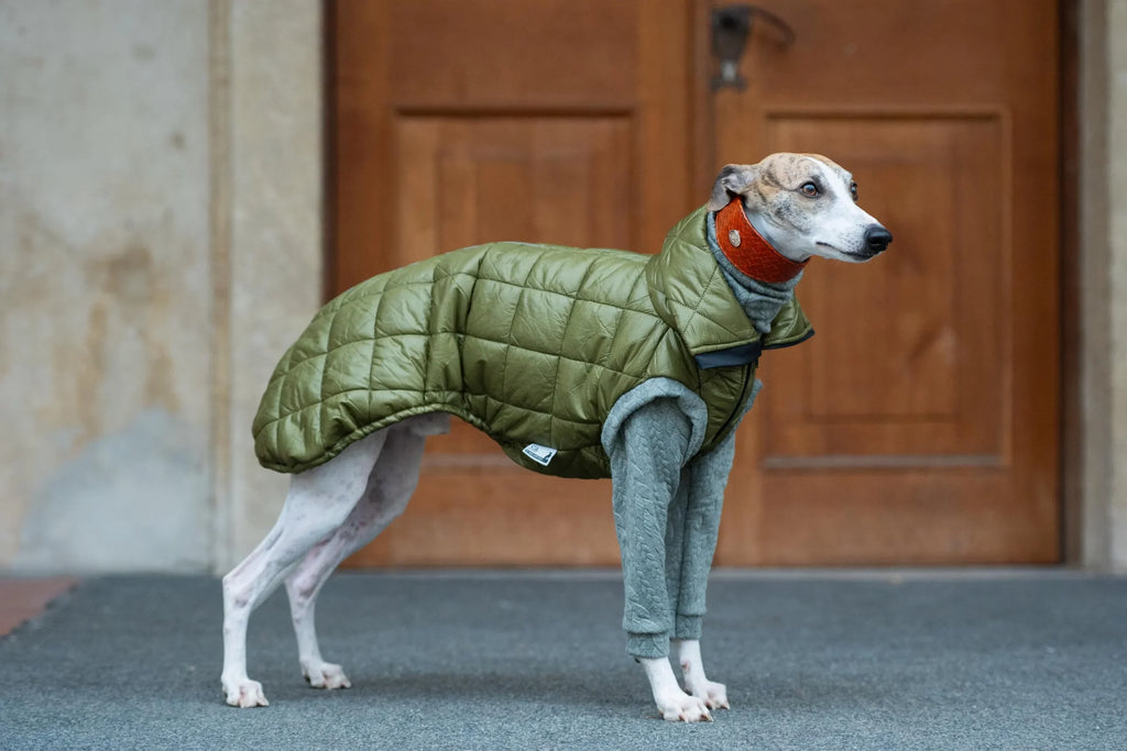 Vest Guilted
