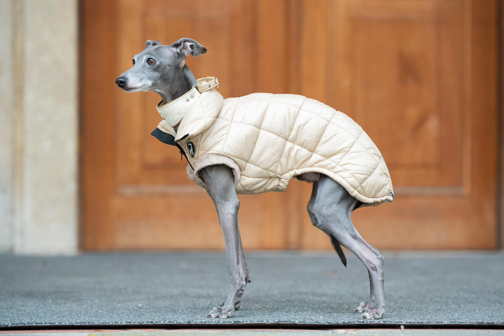 Vest Guilted