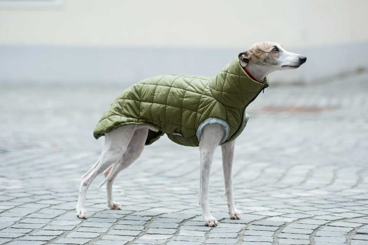Vest Guilted