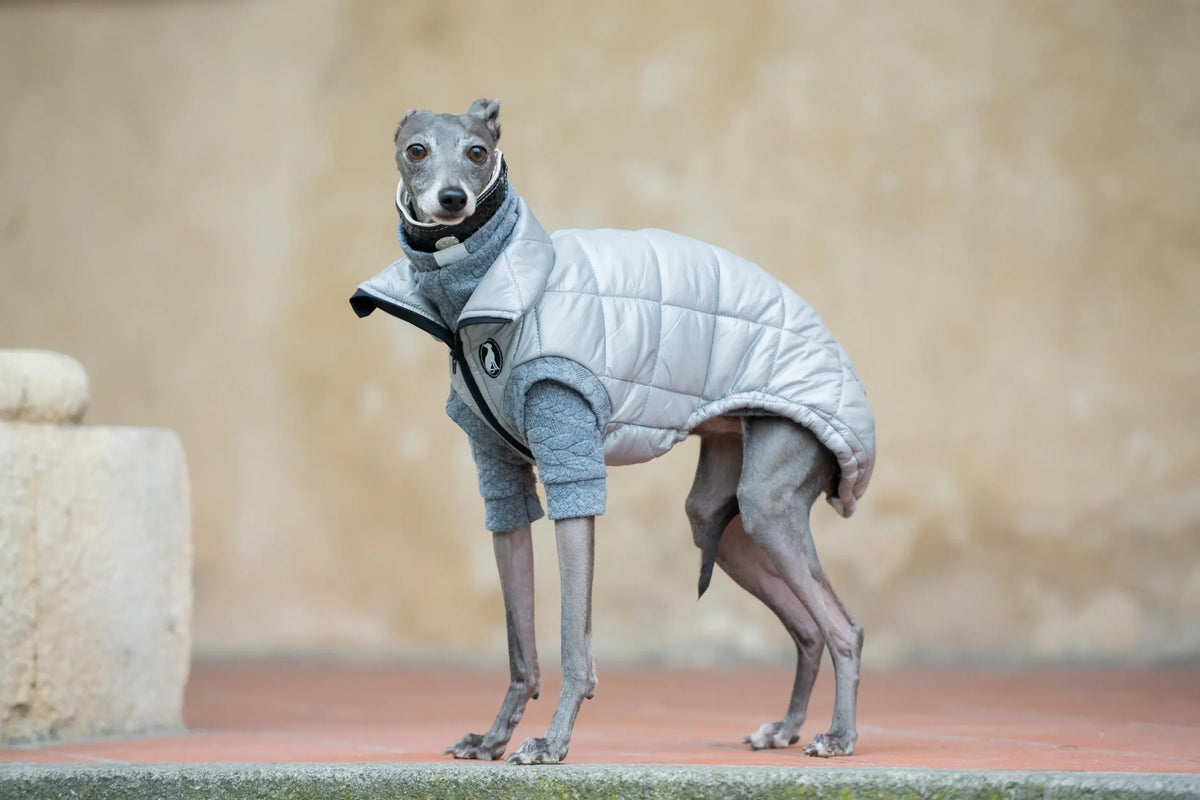 Vest Guilted
