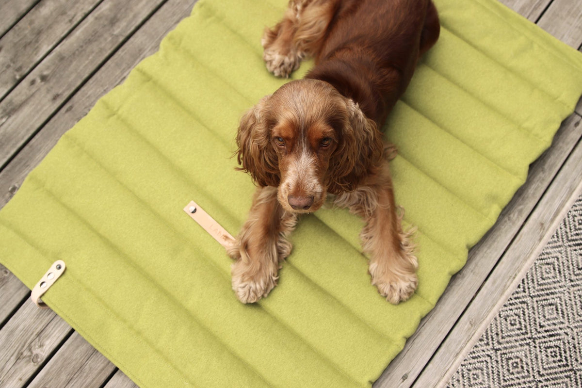 Labbvenn Fosser TravelMat- Green