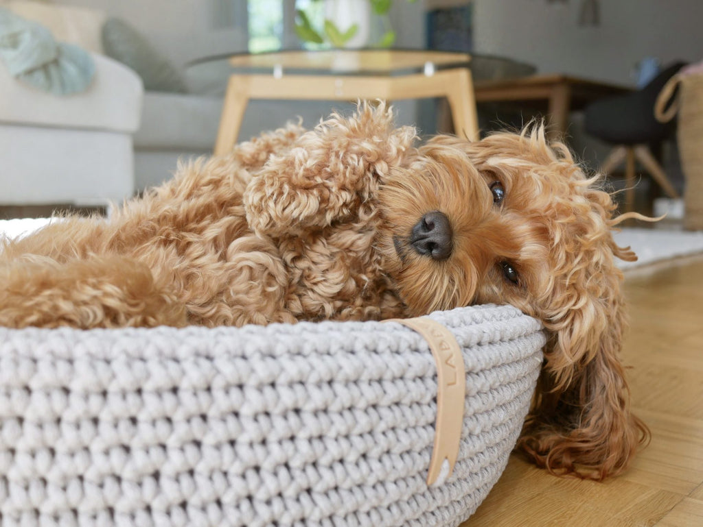 Labbvenn Lukko Dog Bed- Light Grey