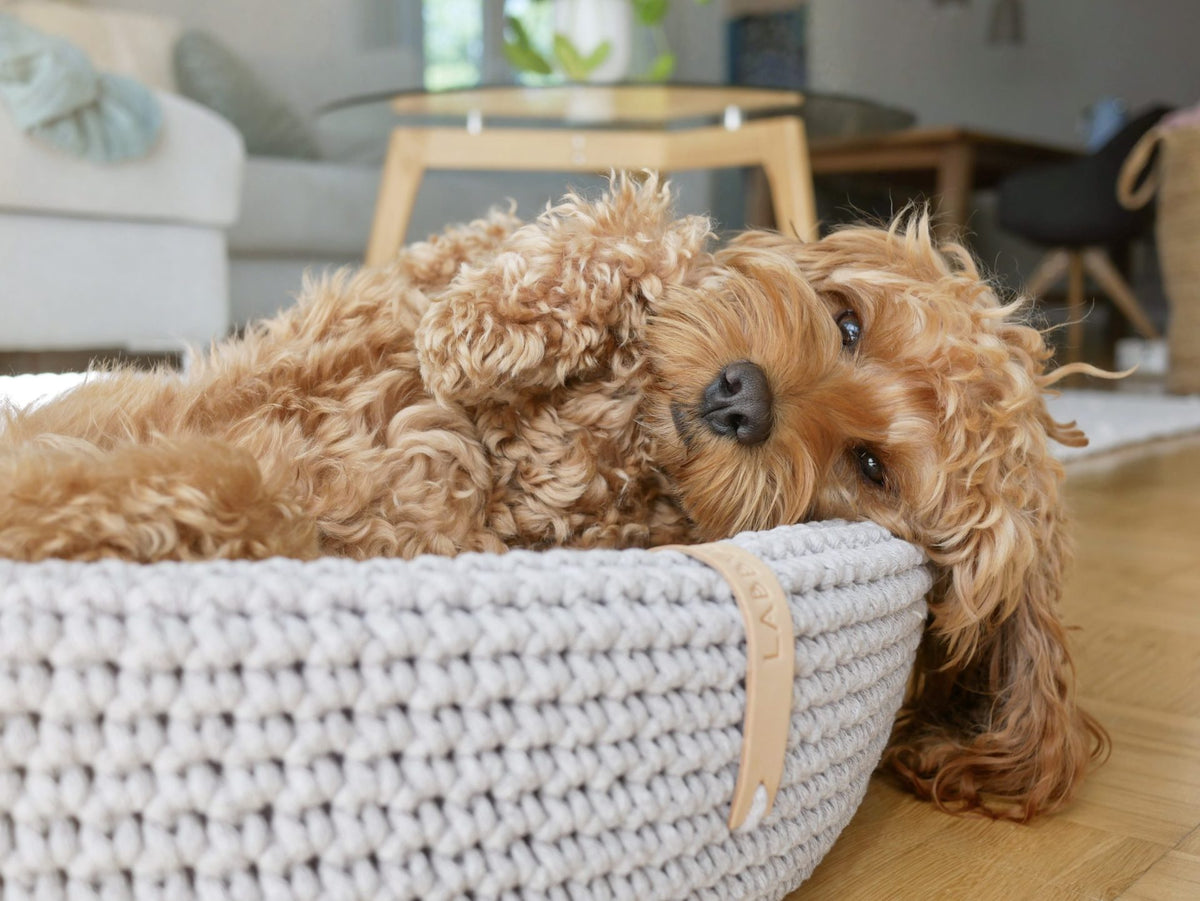 Labbvenn Lukko Dog Bed- Light Grey