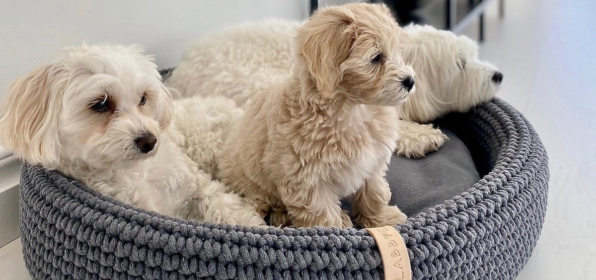 Labbvenn Lukko Dog Bed- Anthracite