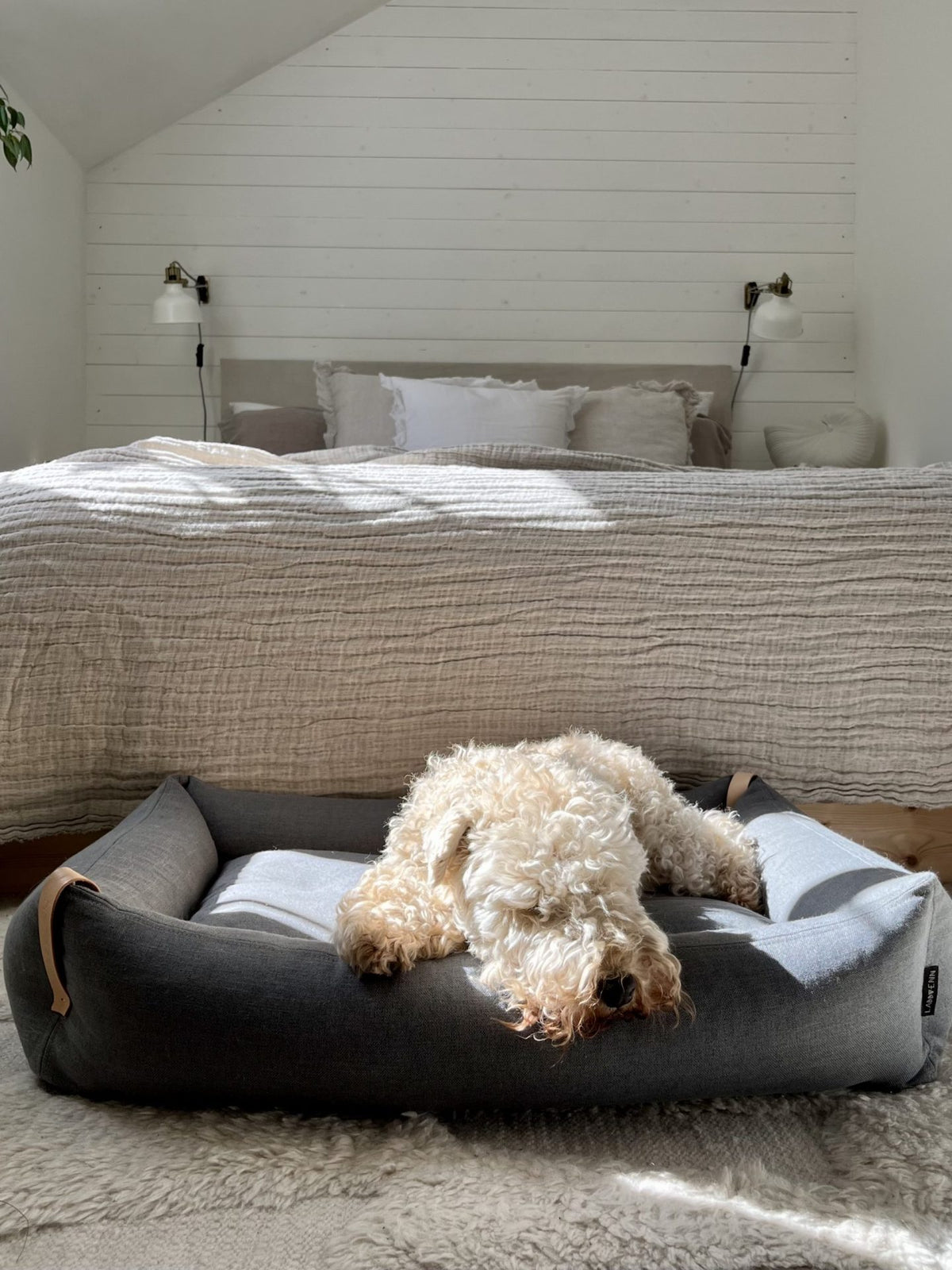 Labbvenn Moe Dog Bed- Light Anthracite