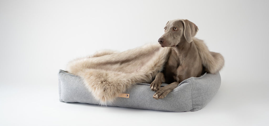 Labbvenn MØVIK Dog Bed- Grey 3