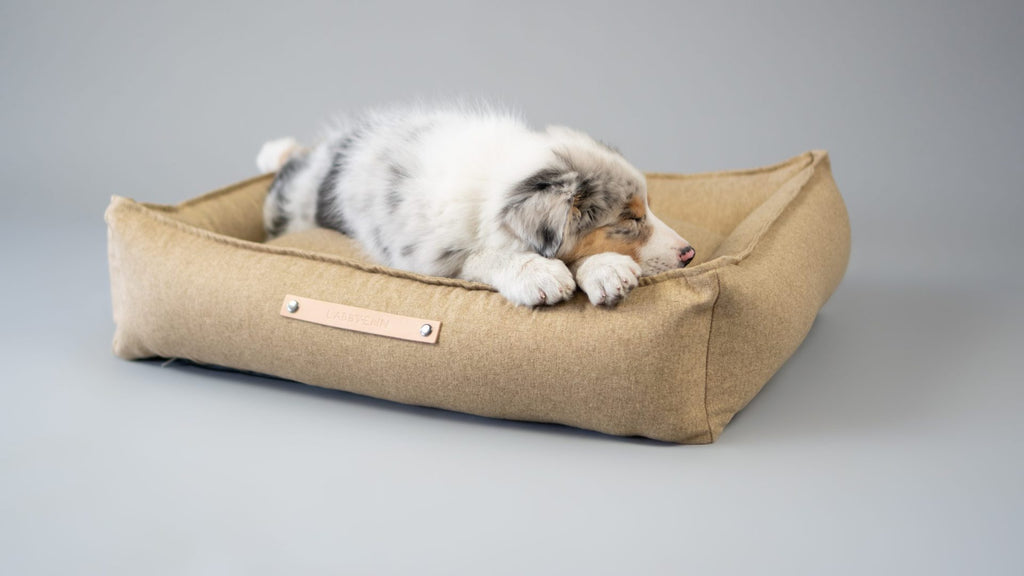 Labbvenn Møvik Dog Bed- Biscuit 2