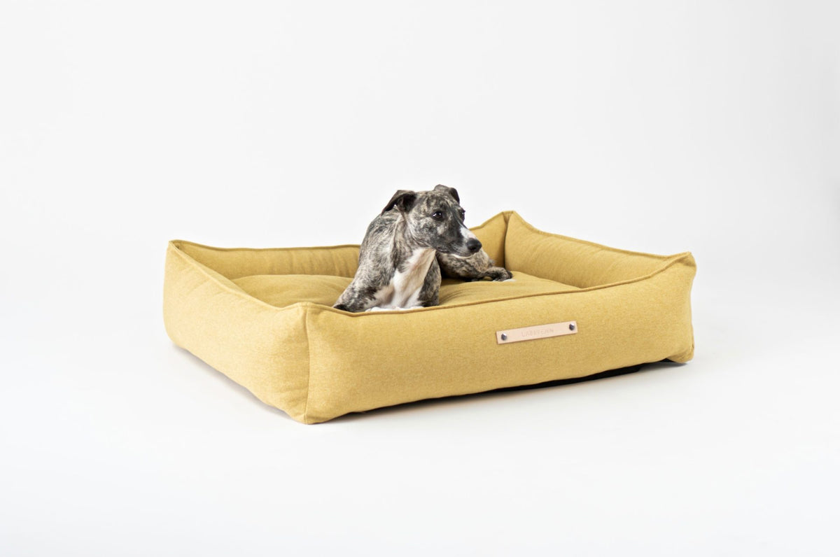Labbvenn Møvik Dog Bed- Honey 2