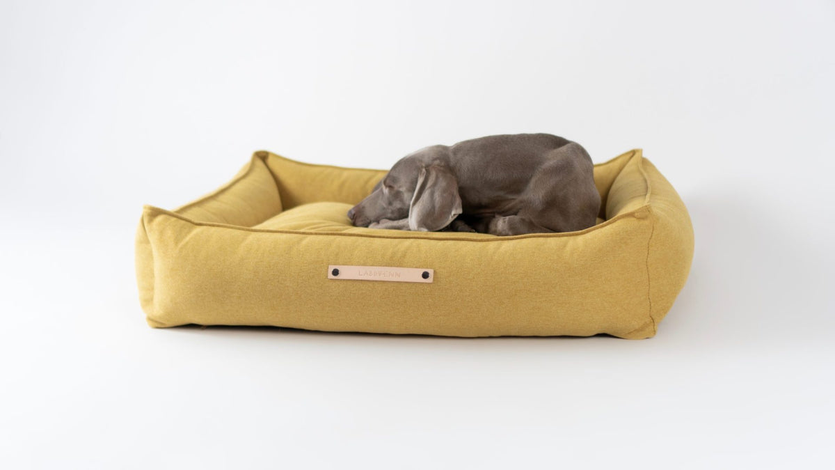Labbvenn Møvik Dog Bed- Honey 3