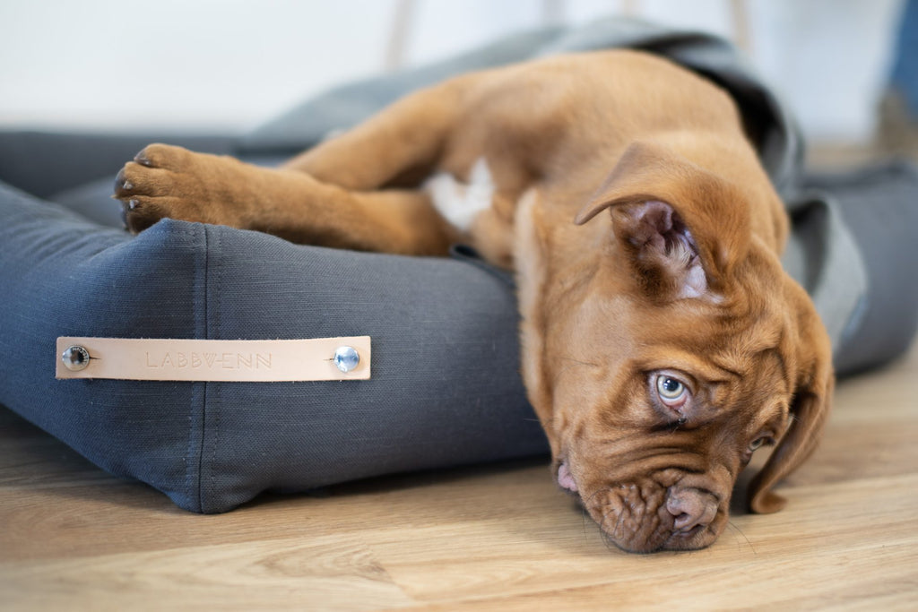 Labbvenn Stokke Dog Bed- Grey
