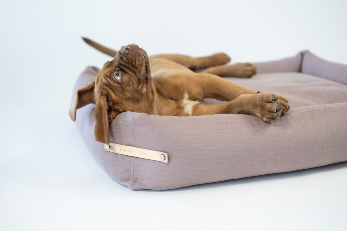 Labbvenn Stokke Dog Bed- Pink