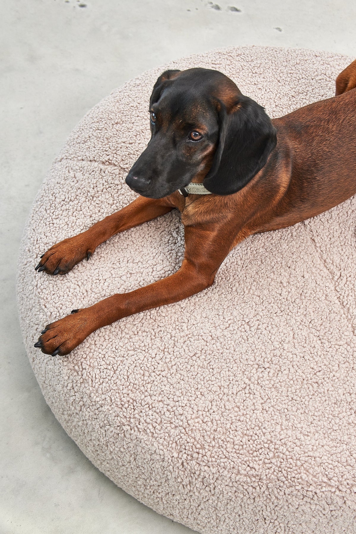 MiaCara Senso dog pouffe cover