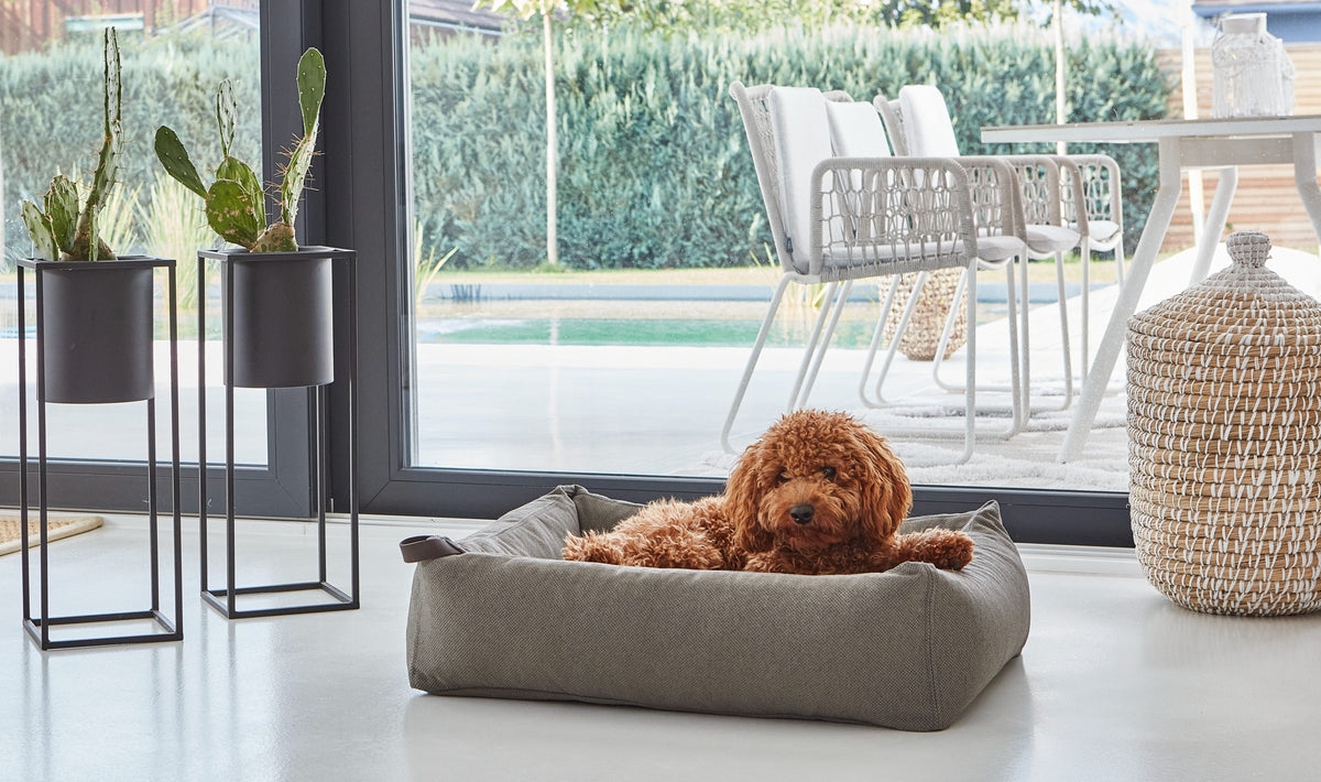 MiaCara Mare dog bed cover