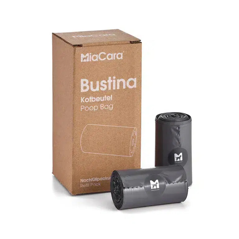 Bustina