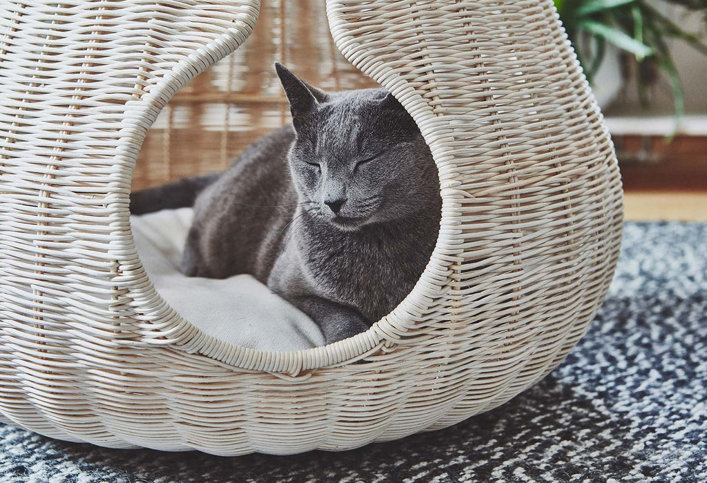 Perla