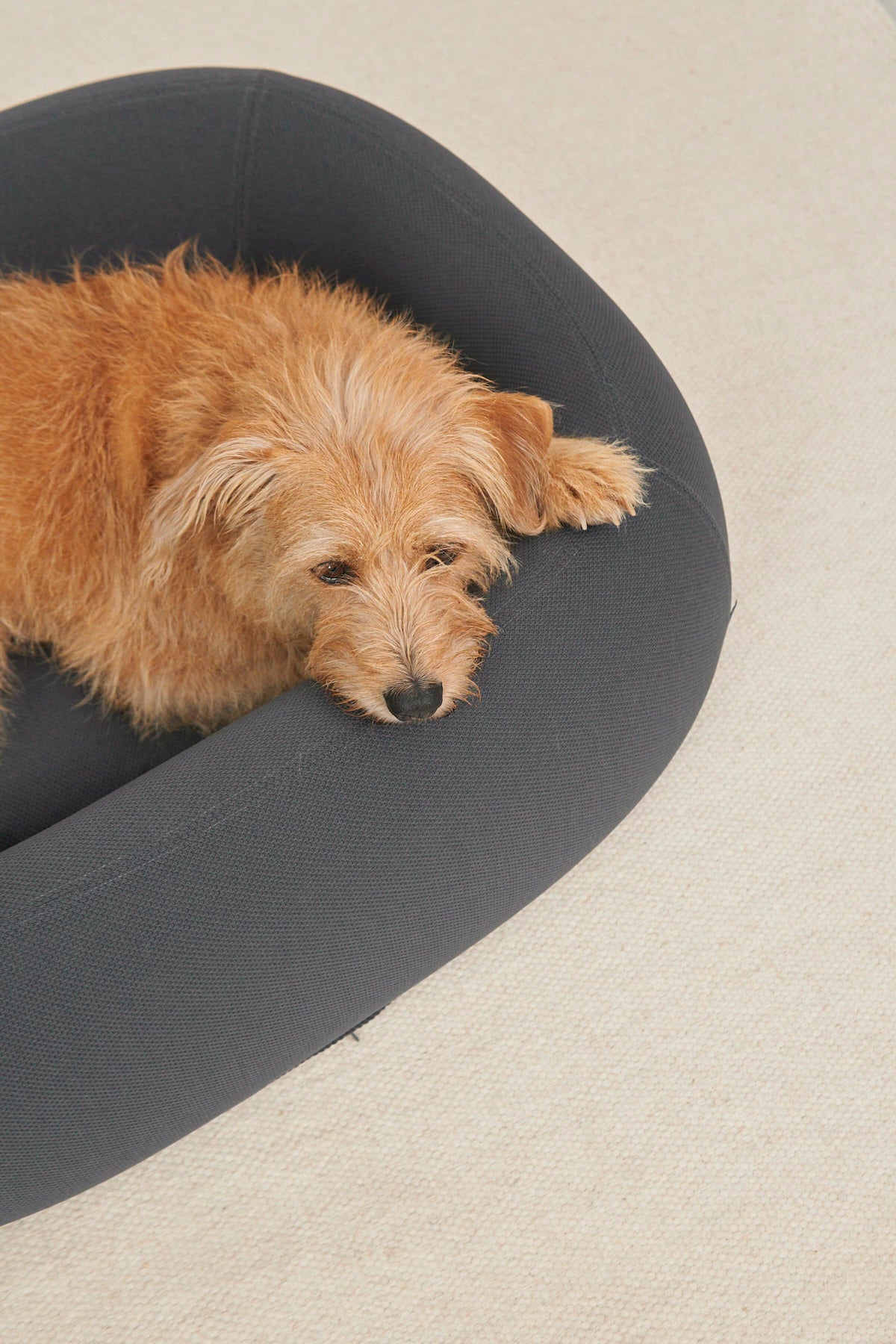 MiaCara Barca Dog Bed — 3