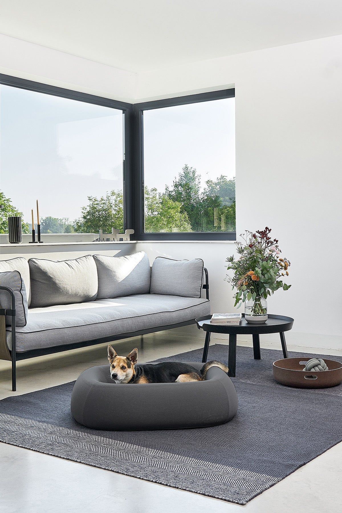 MiaCara Barca Dog Bed — 6