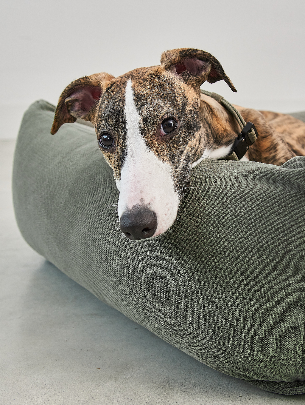 MiaCara Comodo Dog Bed — 6