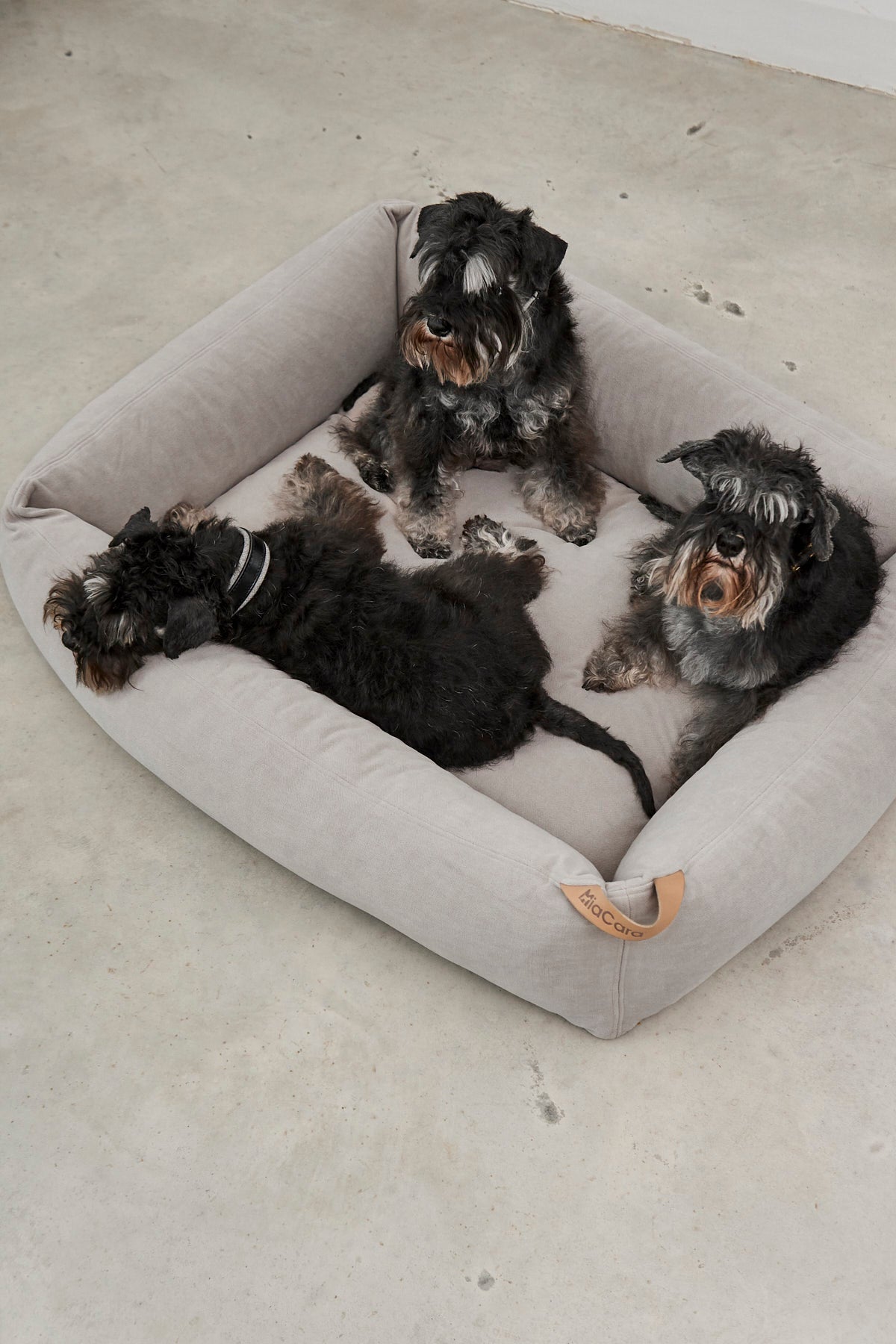 MiaCara Comodo Dog Bed — 7