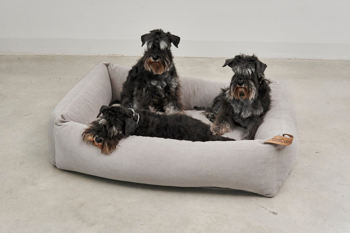 MiaCara Comodo Dog Bed — 9