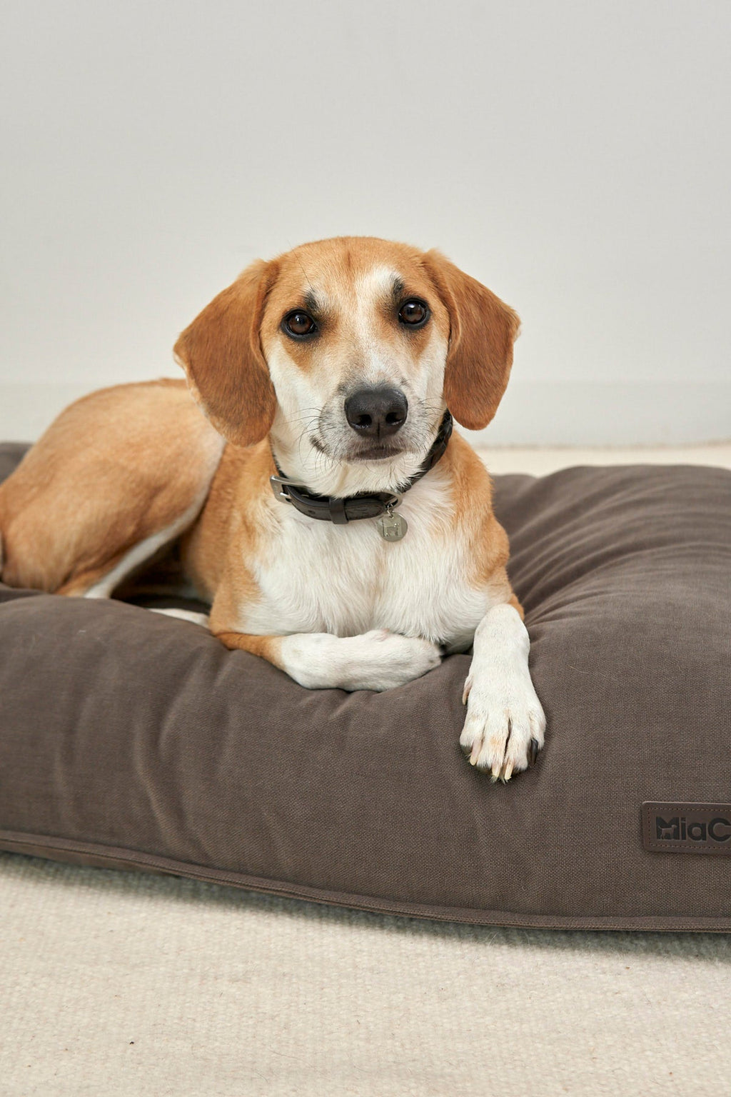 MiaCara Comodo Dog Cushion — 7