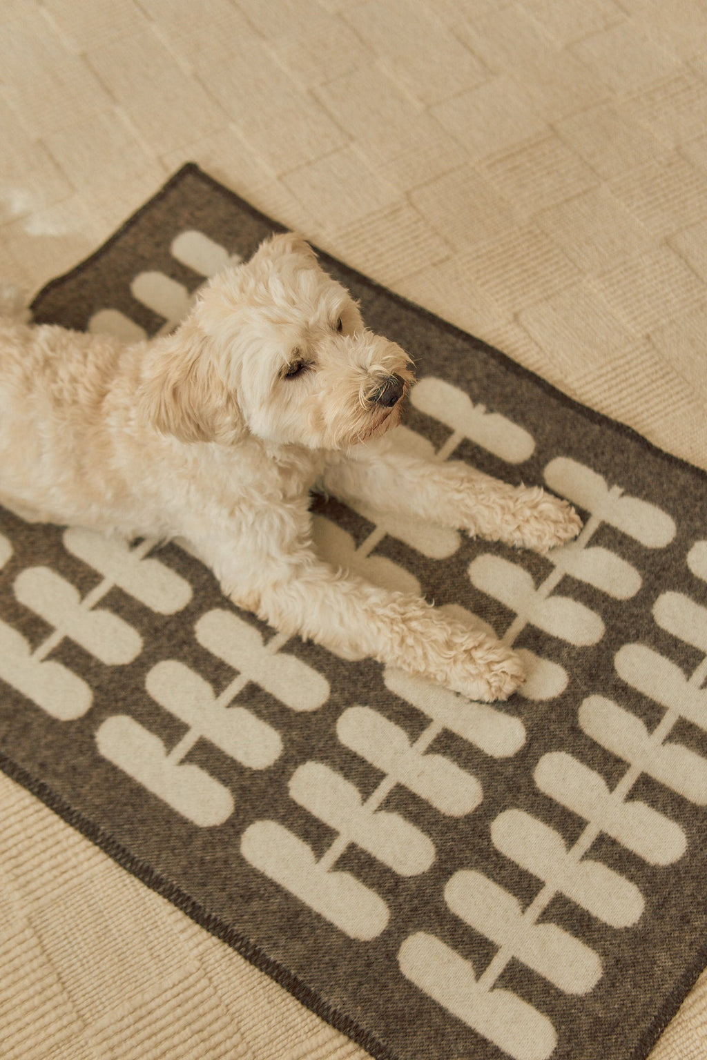 MiaCara Flora Wool Dog Blanket — 11