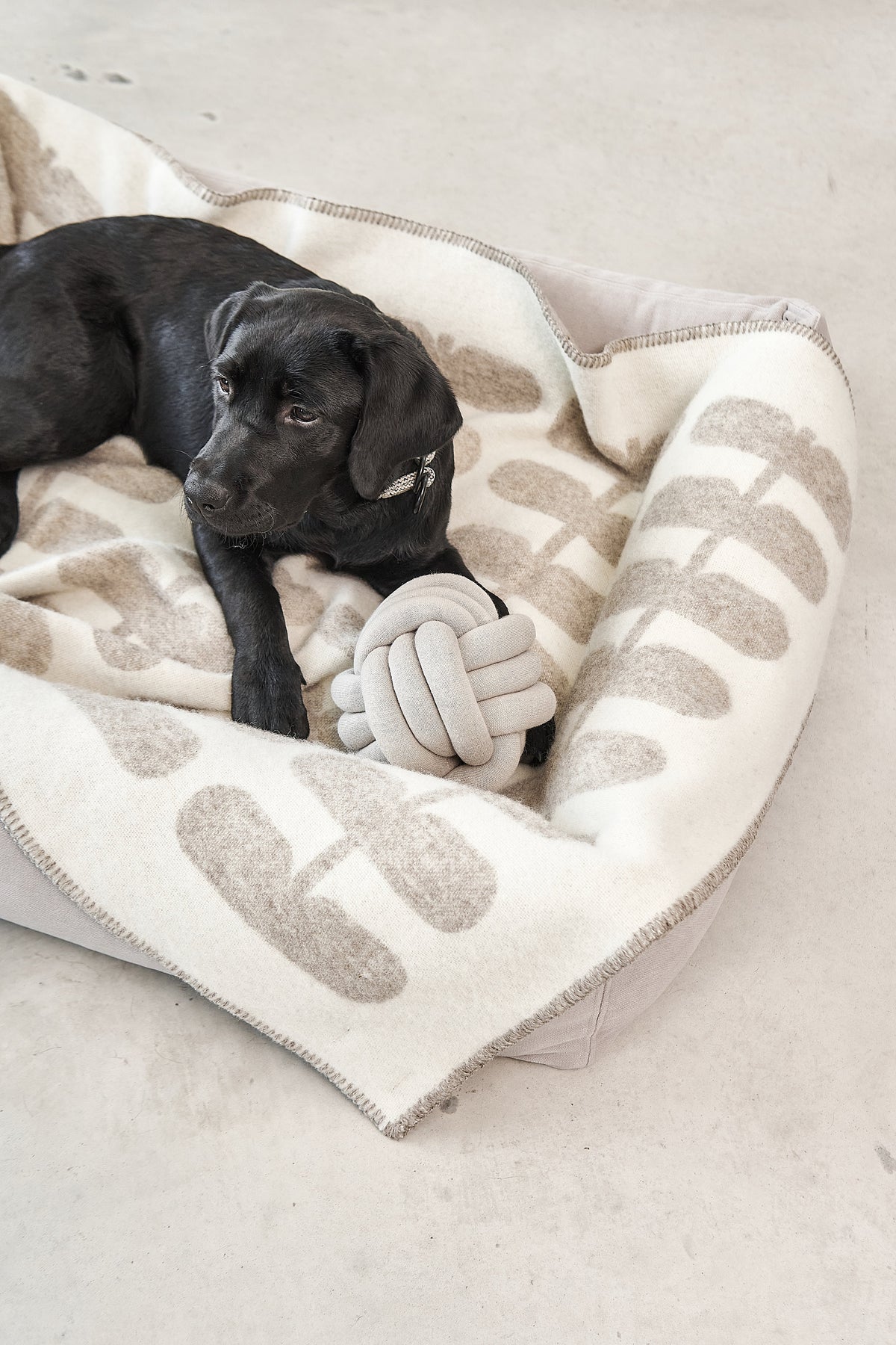 MiaCara Flora Wool Dog Blanket — 6