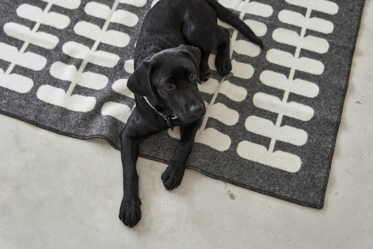 MiaCara Flora Wool Dog Blanket — 7