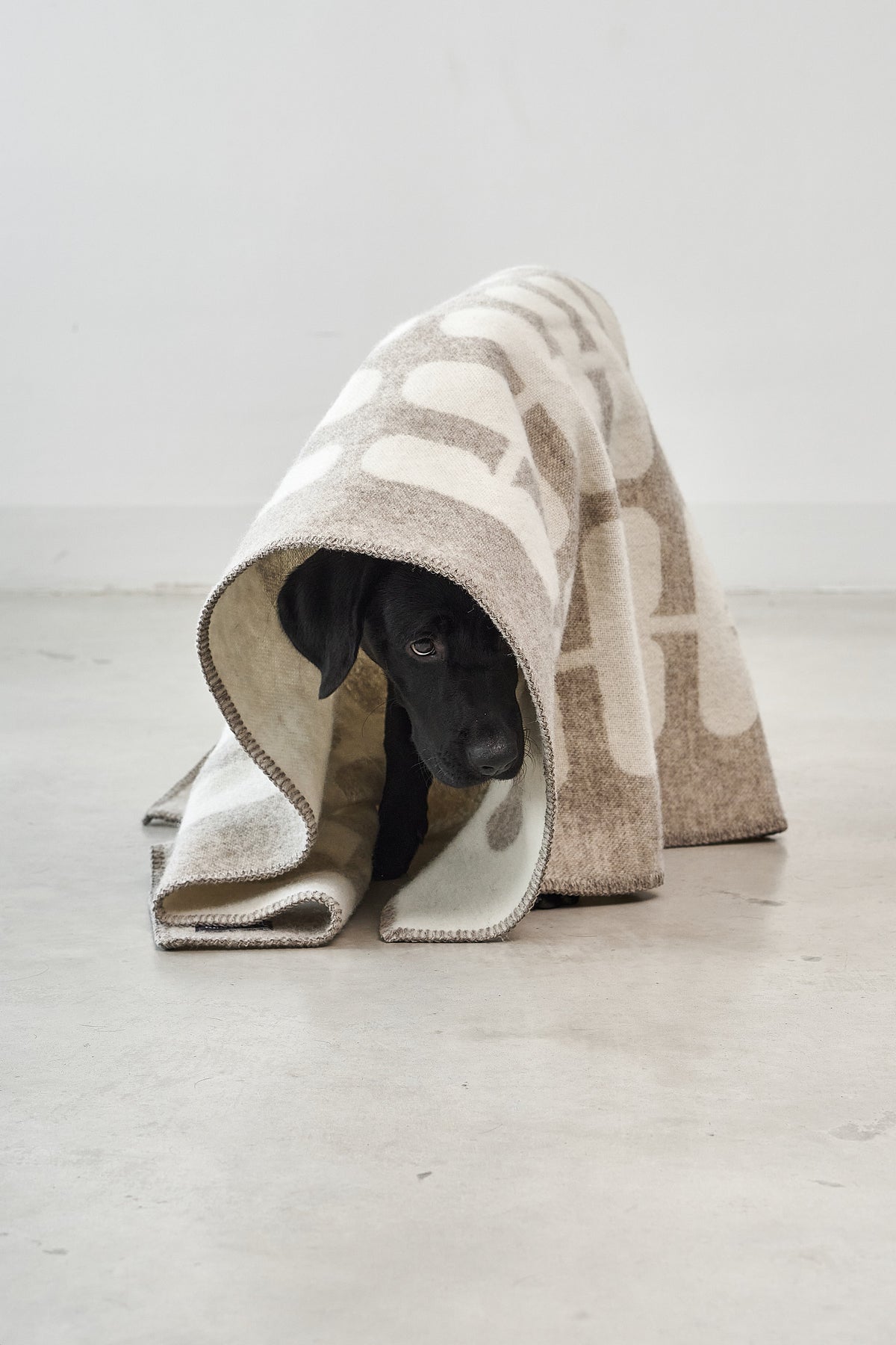 MiaCara Flora Wool Dog Blanket — 8