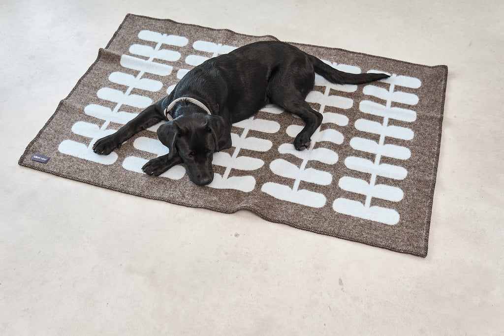 MiaCara Flora Wool Dog Blanket — 9