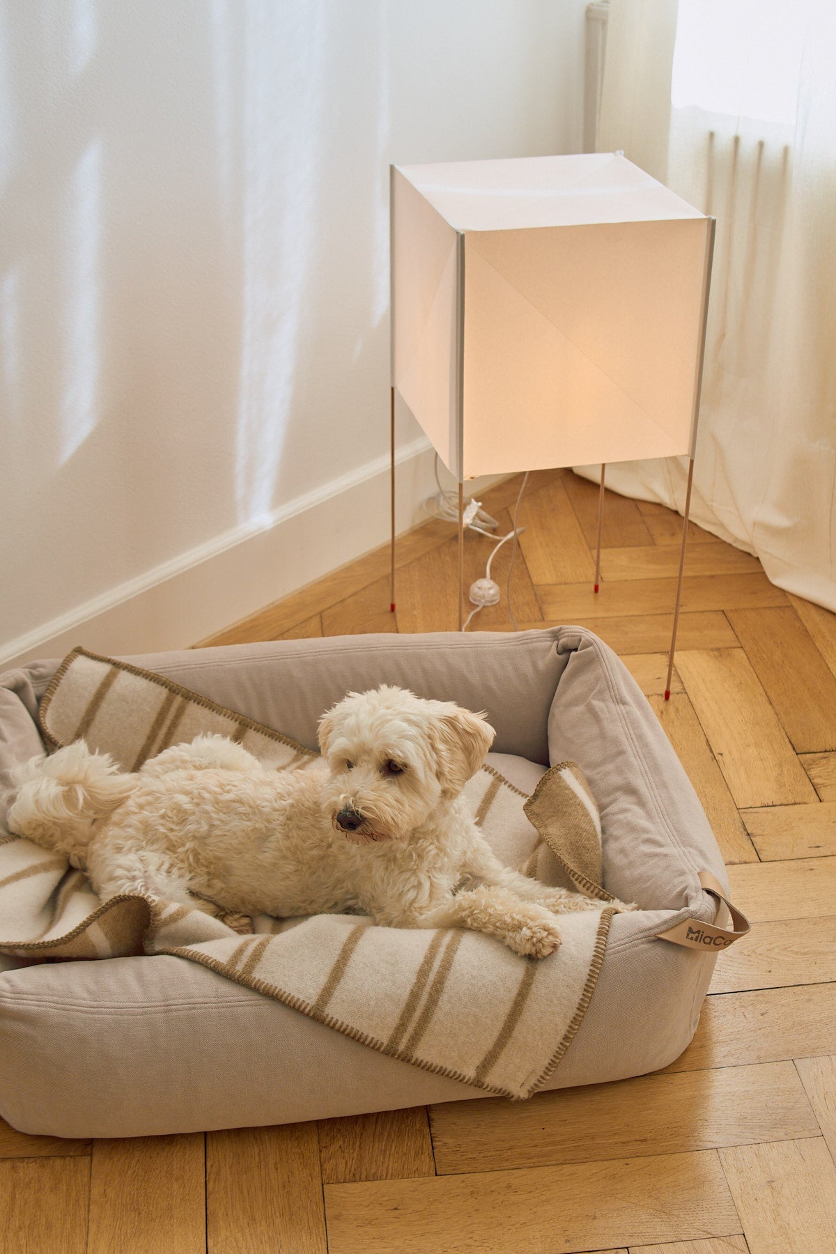 MiaCara Rigato Wool Dog Blanket — 4